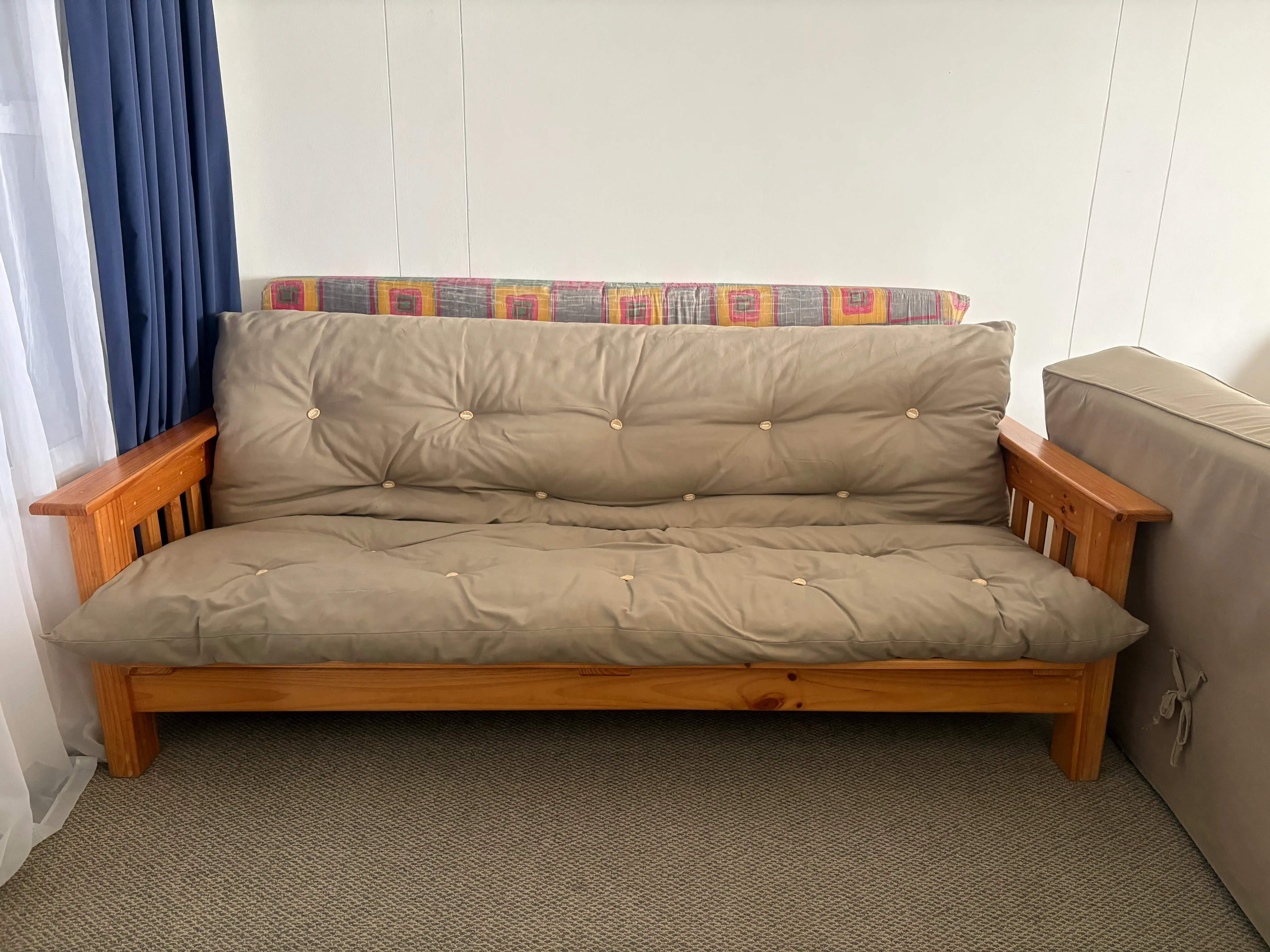 Living room sleeper couch